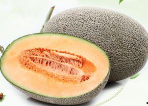 国外吃哈密瓜视频,哈密瓜的异国风情之旅