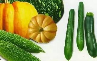 30秒视频吃瓜,吃瓜瞬间，揭秘娱乐圈幕后真相