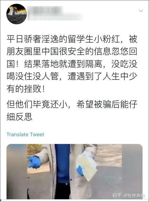 西宁城东吃瓜事件始末视频,一场网络热议的始末揭秘
