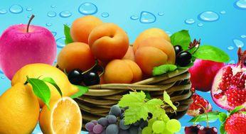 水果盆儿吃瓜视频,揭秘水果盆儿吃瓜视频的魅力所在