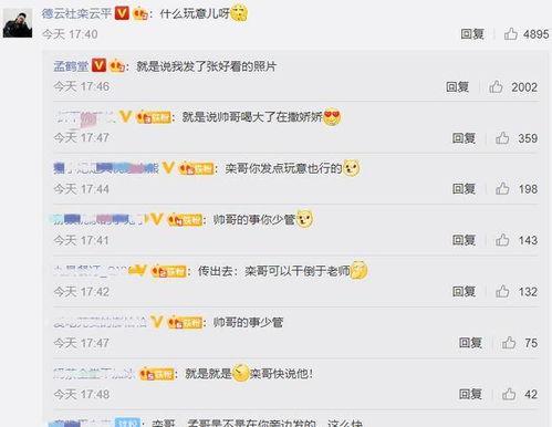 怎么评价吃瓜视频的解说,揭秘网络娱乐背后的真相与趣味