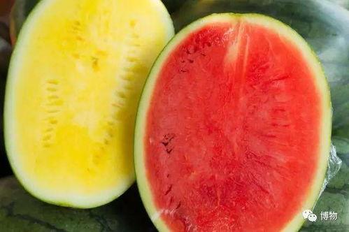 高端网红吃瓜视频大全,盘点热门吃瓜视频大全